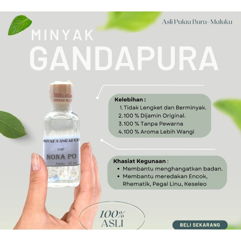 Minyak Gandapura Asli Original Maluku 300ml