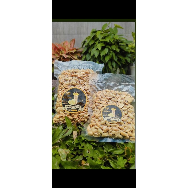 

Kacang bali sultan by gifi