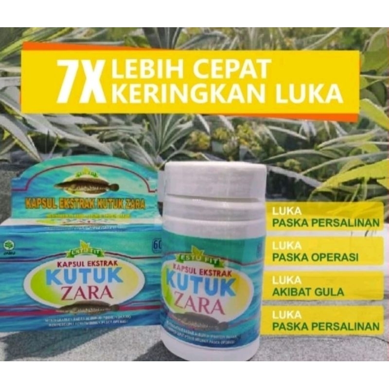 kapsul ikan kutuk/kapsul ikan gabus/kapsul ikan kutuk zara