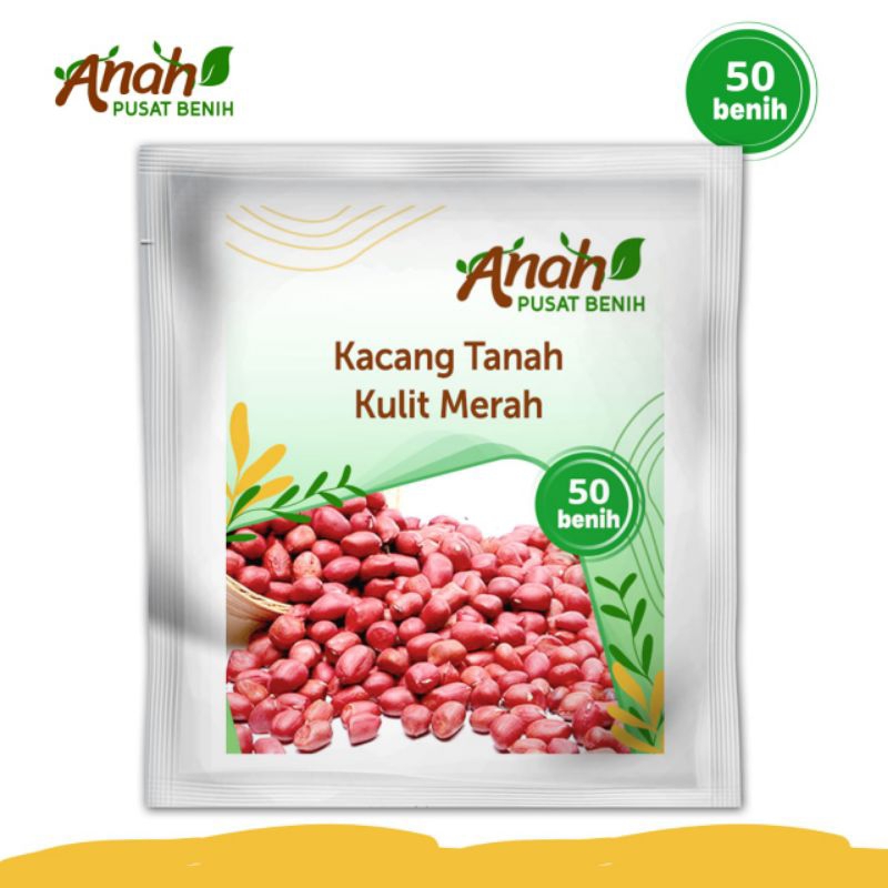 Benih kacang tanah kulit merah 50 benih / bibit kacang tanah