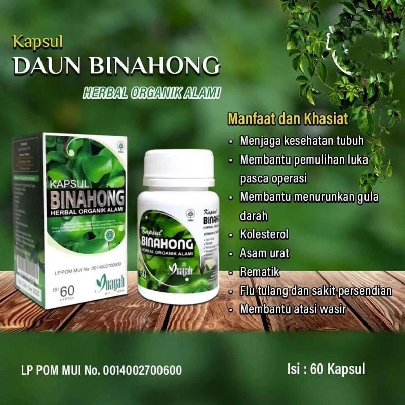 

KAPSUL DAUN BINAHONG
