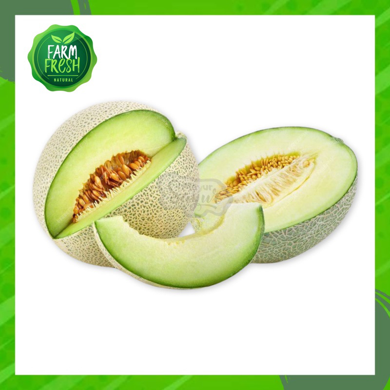

KIRIM INSTAN Buah Melon / 500 Gram