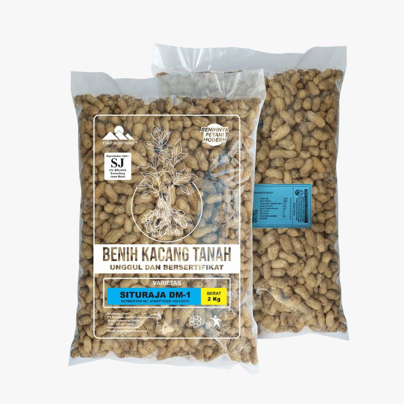 Benih Kacang Tanah 1kg Varietas Situraja DM-1 Original Tjap Bukitmas untuk kacang garuda dan dua kel