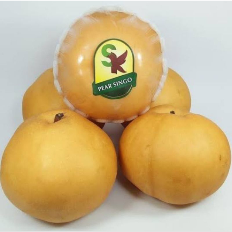 

Buah Pear golden, pear singo, 2 buah, fresh (Chat admin sebelum CO)