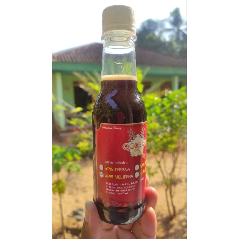 

Madu murni dominan nektar pohon Akasia Crassicarpa|madu hutan