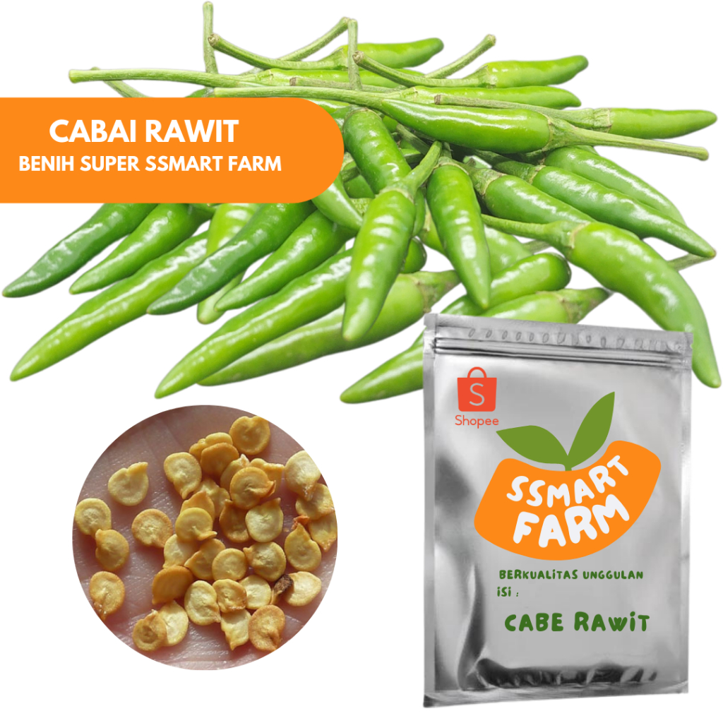 Biji / Benih Cabe Rawit Berkualitas Unggulan