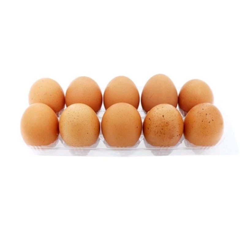 

telur ayam 10 butir