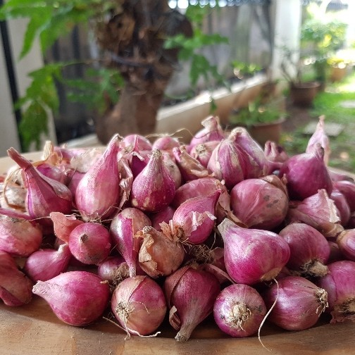 

Bawang Merah CAMPUR Mix Shallots 1 kg