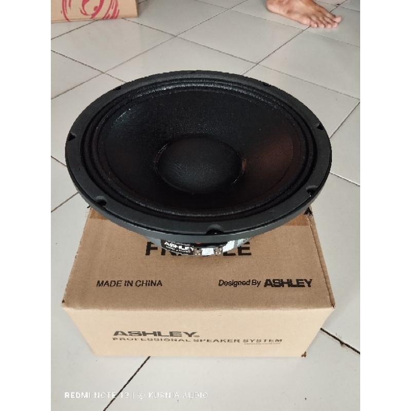Speaker Ashley 10v300