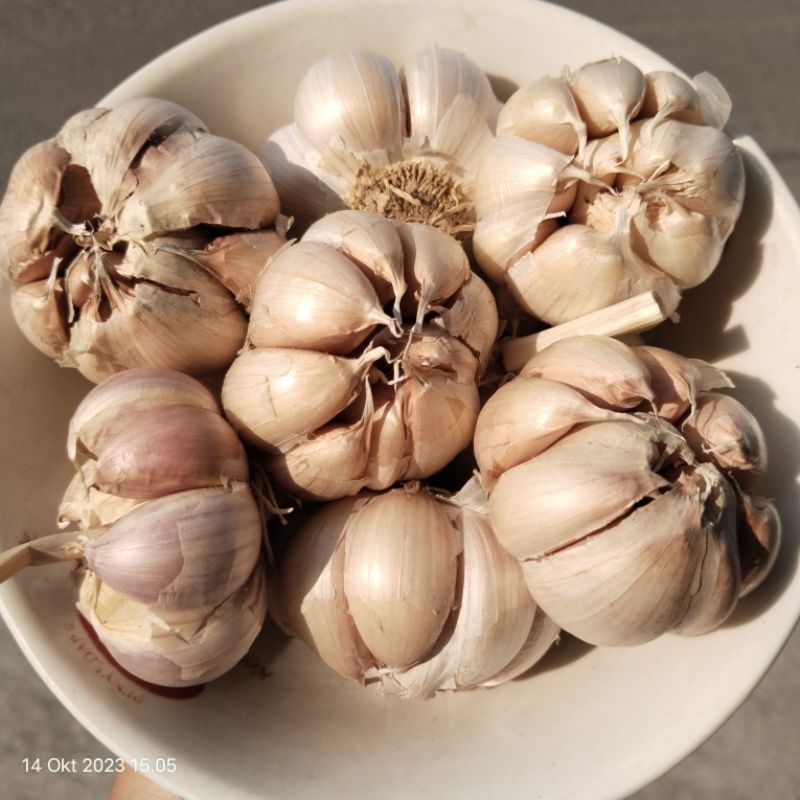 

Bawang Putih murah