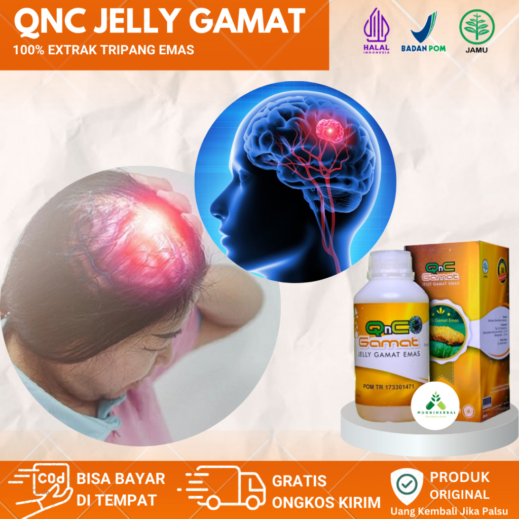Qnc Jelly Gamat Obat Kanker Otak, Tumor Otak, Kanker Rahim, Tumor Ganas, Tumor Payudara, Tumor Otak 