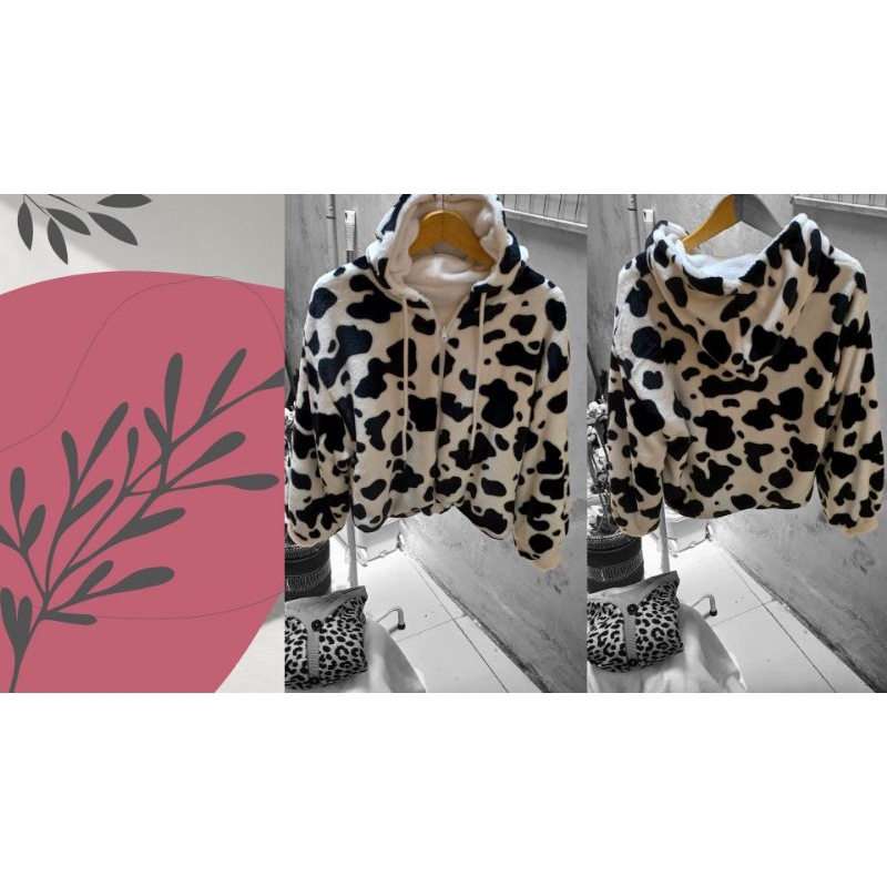 jakbul hodie motif Moo