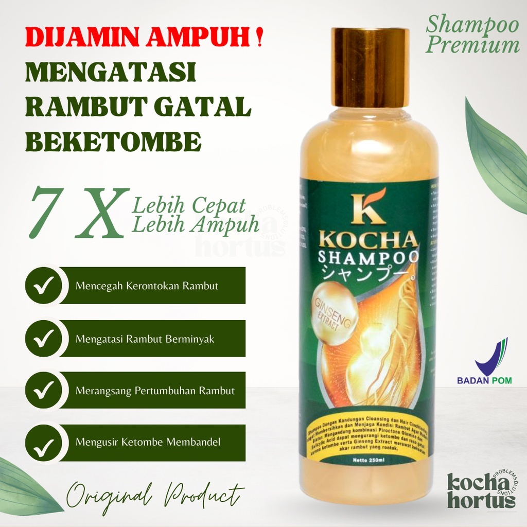 Obat Rambut Rontok Parah dan Anti Ketombe Paling Ampuh by Kocha Sampo Anti Ketombe Sangat Ampuh