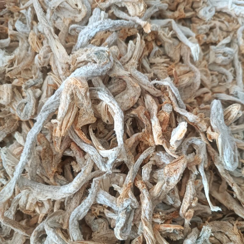 

Usam Besar (kasar) dan Usam Kecil (halus)