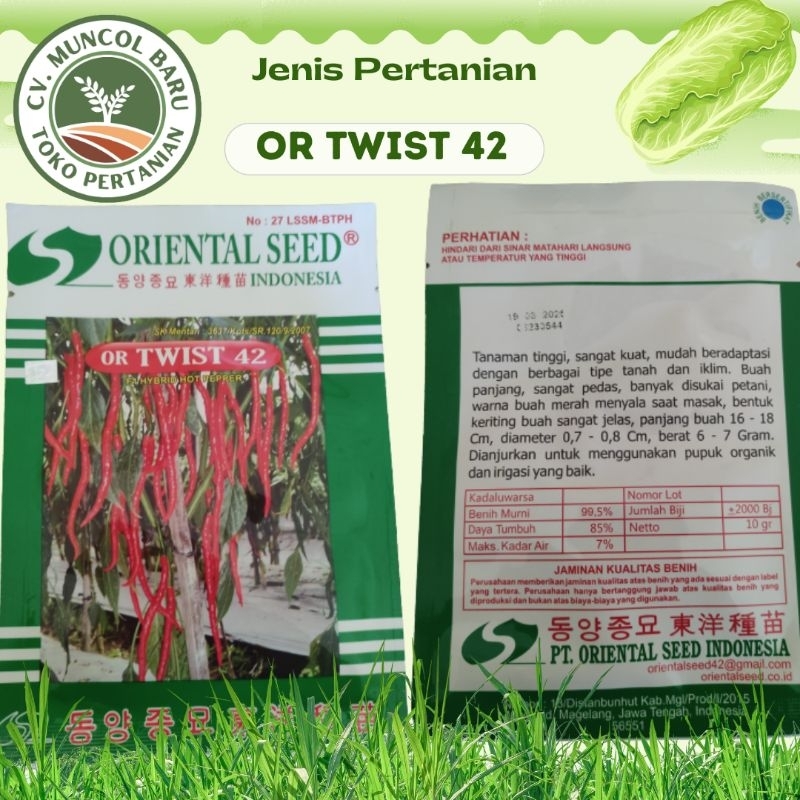 Benih OR Twist 42 10Gram Cabe Merah Keriting