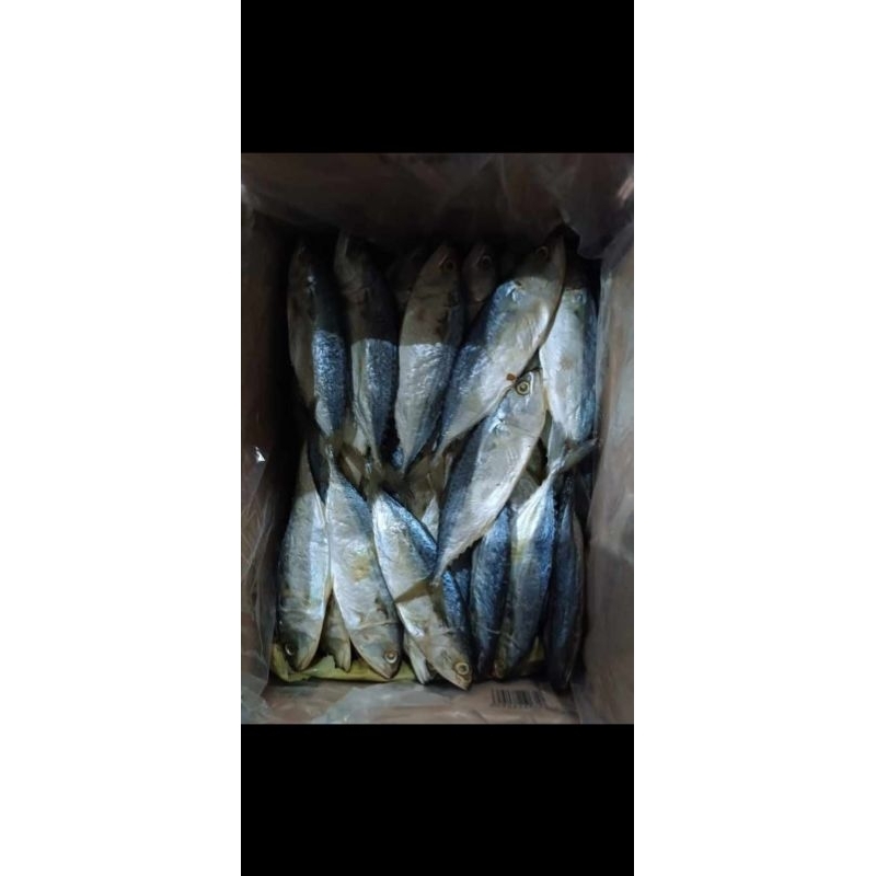 

ikan asin peda