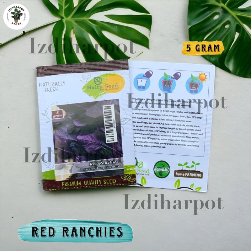 Benih Bibit Bayam Merah Red Ranchies Haira Seed - BAYAM MERAH RED RANCHIES