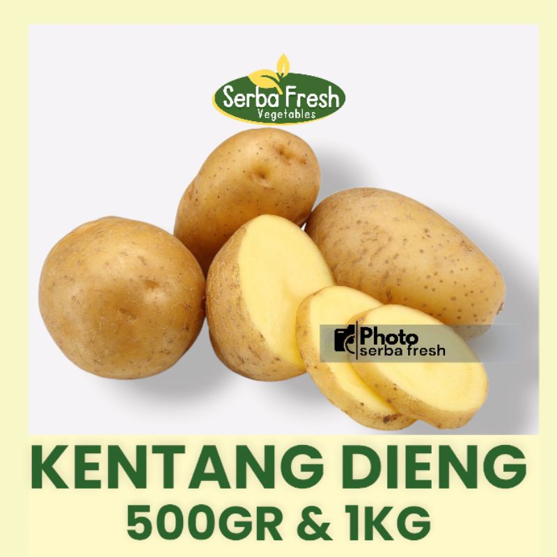 KENTANG DIENG SEDANG | 500GR &amp; 1 KG | SERBA FRESH