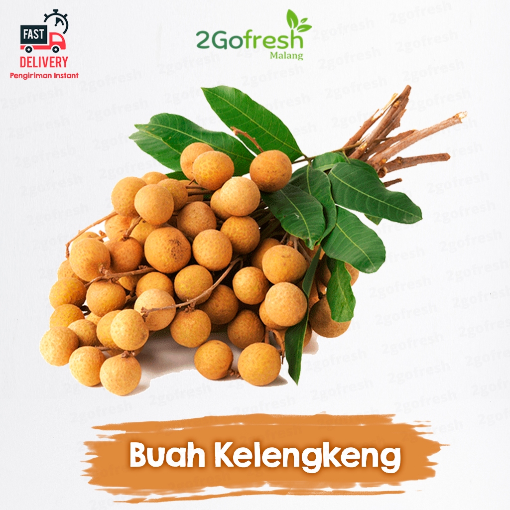 

Buah Kelengkeng / Klengkeng Import Fresh - Rempah Sayur Sayuran & Buah Buahan