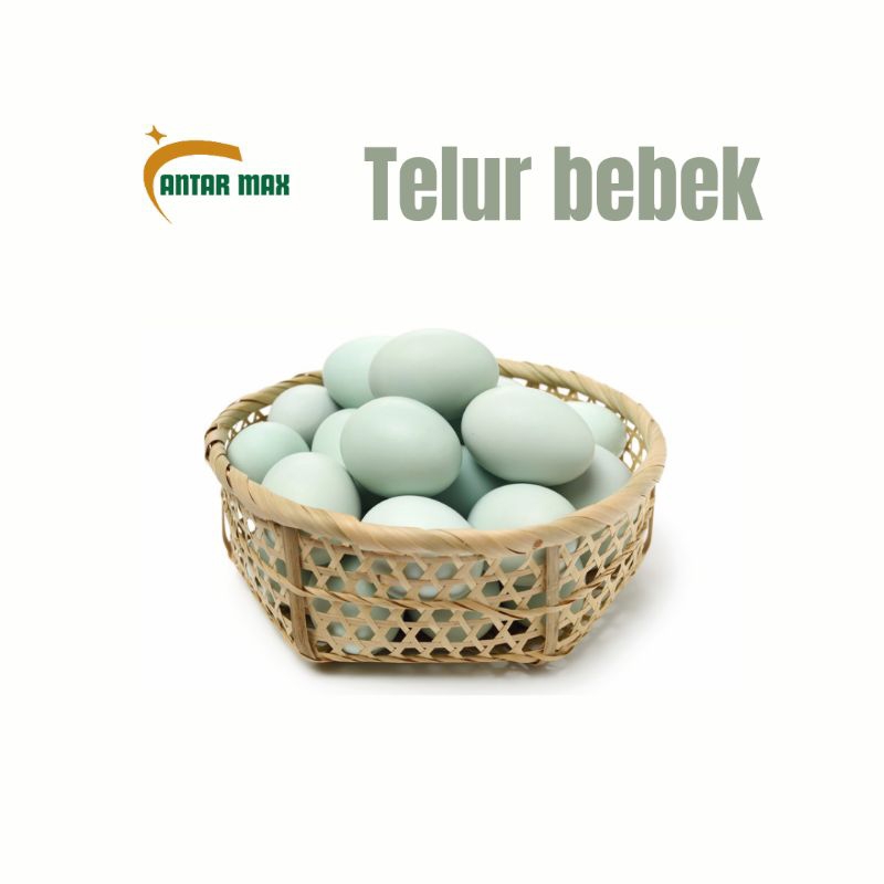 

Telur bebek