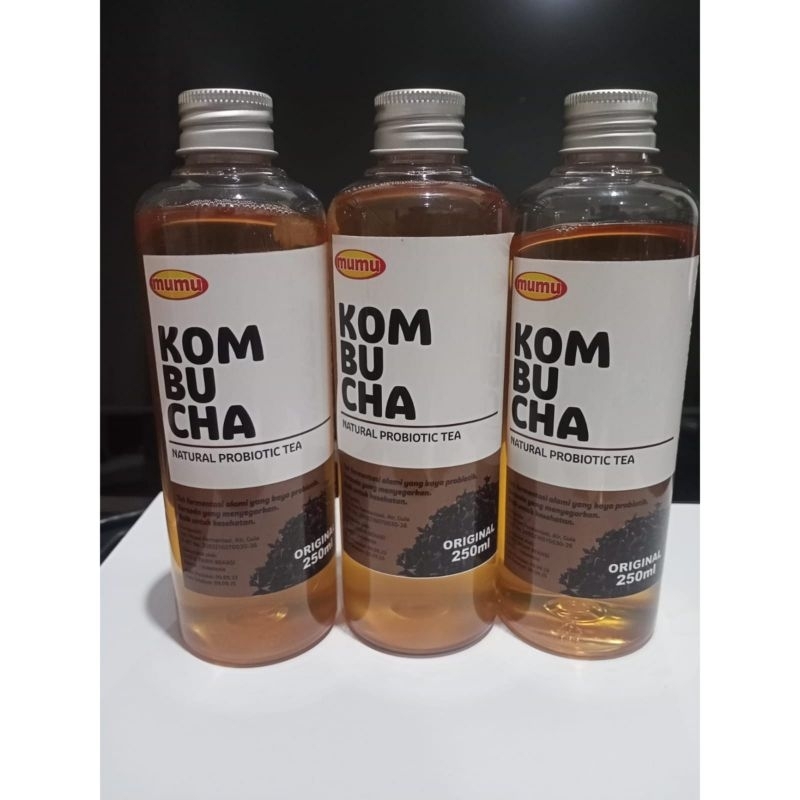 

kombucha original minuman 250 ml