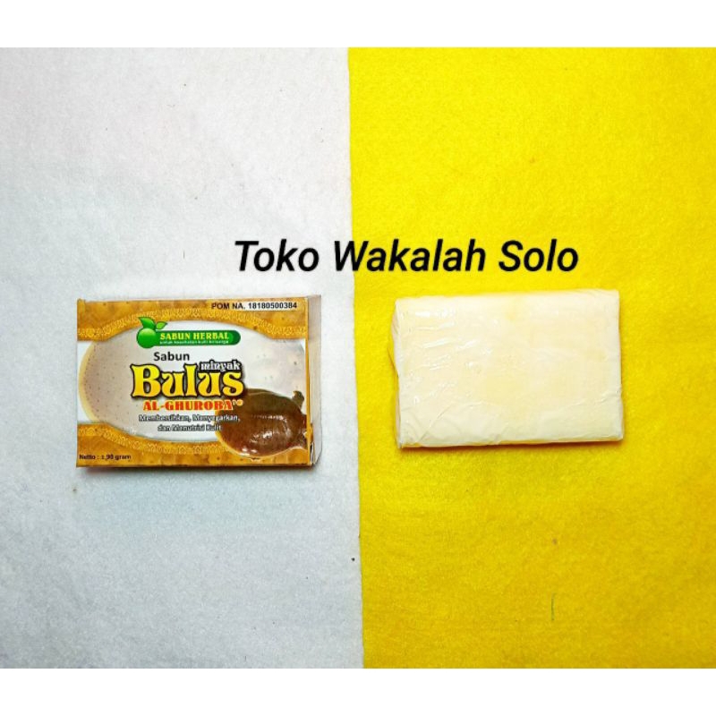 Sabun Herbal Bulus | sabun alami bulus | sabun minyak bulus al Ghuroba'