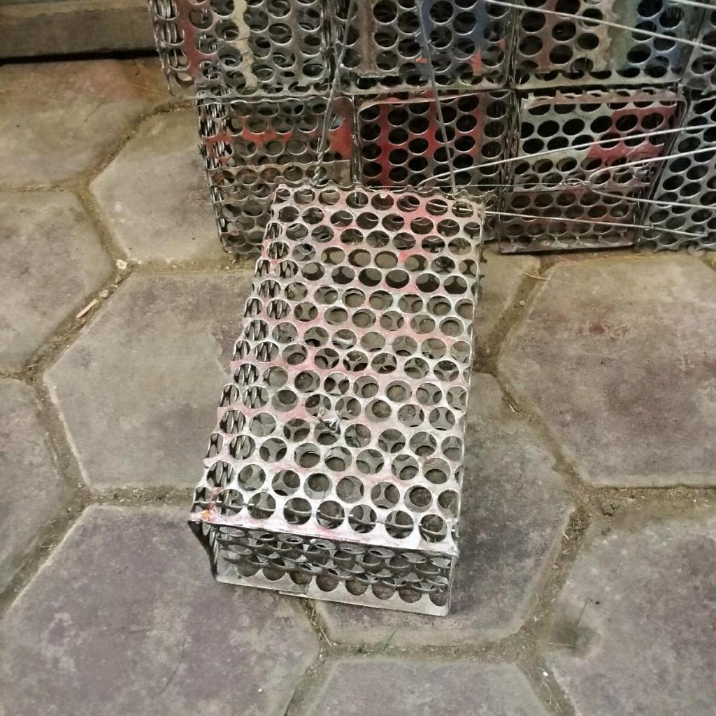 Perangkap/jebakan/kandang tikus