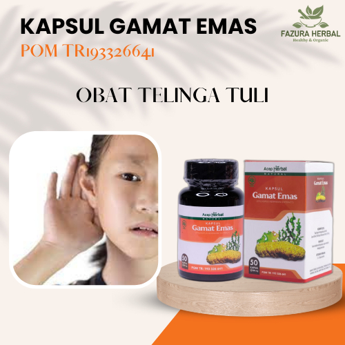 Obat Telinga Tuli, Obat Telinga Kurang Dengar, Obat Pendengaran Hilang, Obat Telinga Budeg, Obat Kur