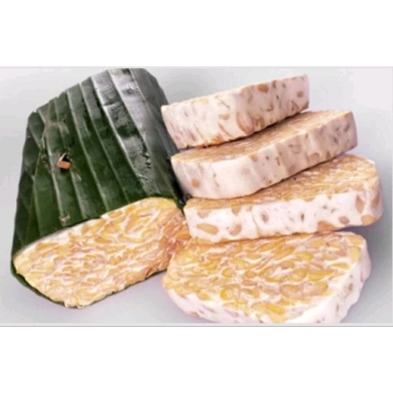 

tempe daun segar
