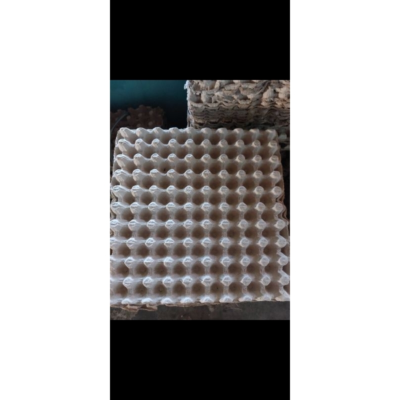 

eggtray karton telur puyuh bekas