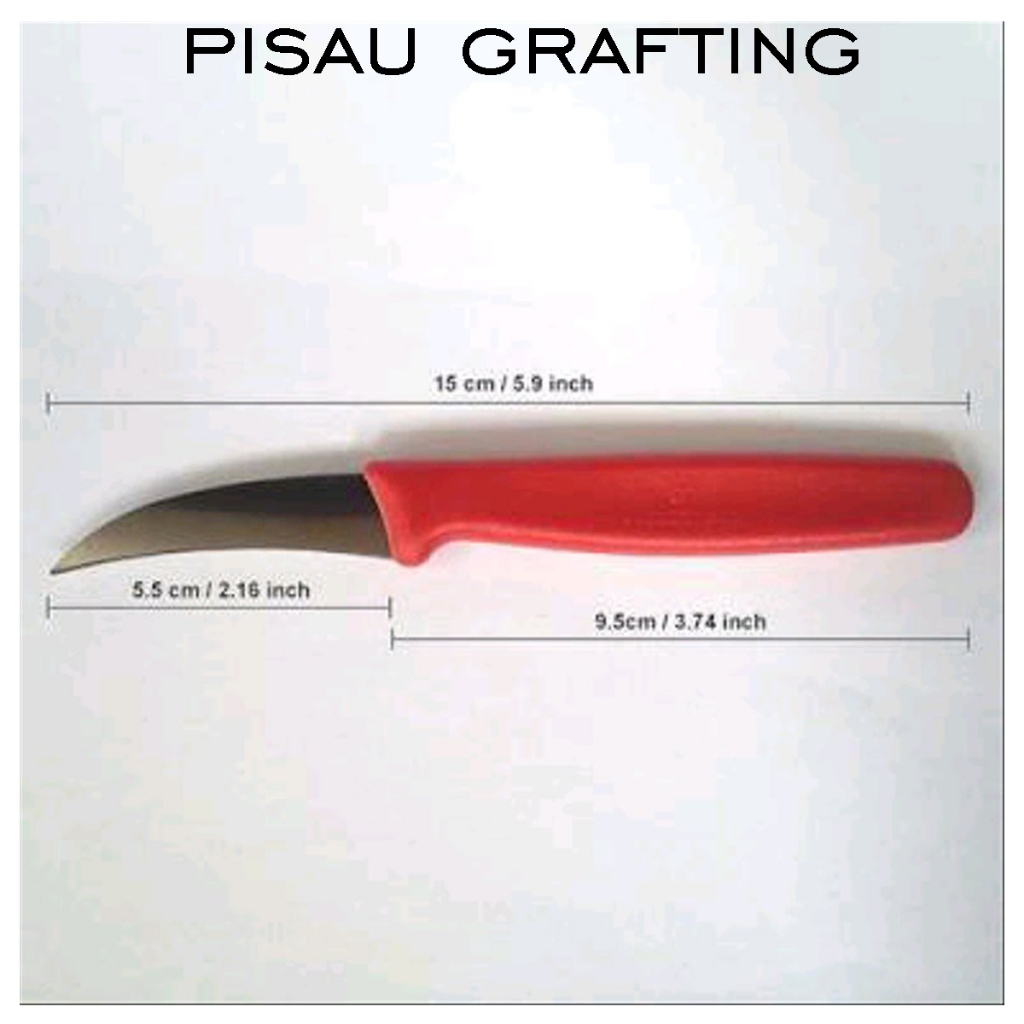 Pisau Grafting Okulasi Tanaman anti karat