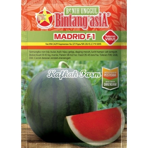 Benih 2 Biji Semangka MADRID F1