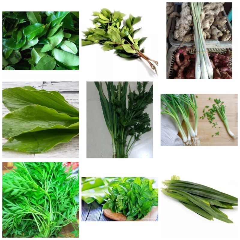 

Daun salam, jeruk, kemangi, daun serai, kunyit dll 3.000 (Live)