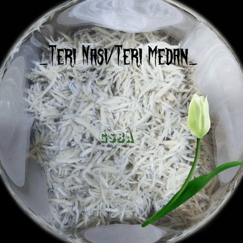 

Teri Nasi/ Teri Medan Asin 500gr