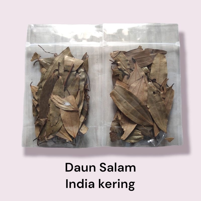 

daun salam india