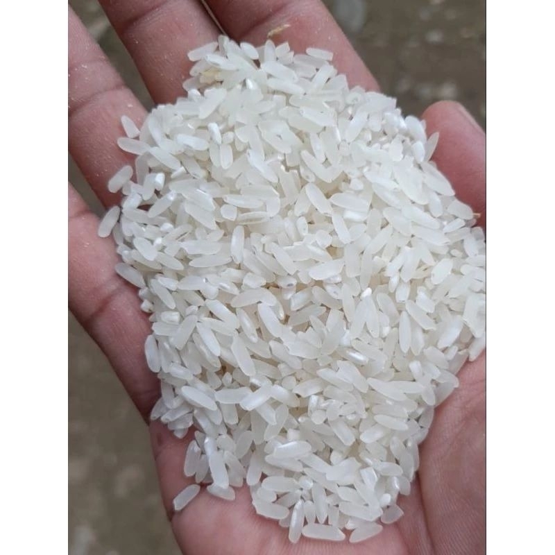 

Beras Pulen 1kg Asli Tasikmalaya