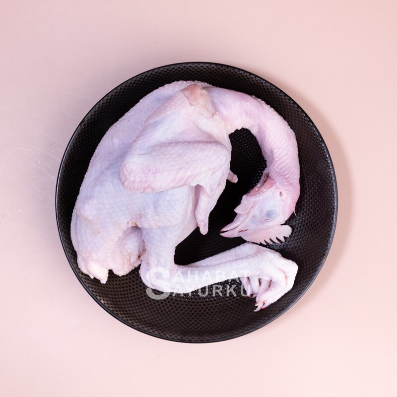 

Ayam Pejantan / Daging ayam