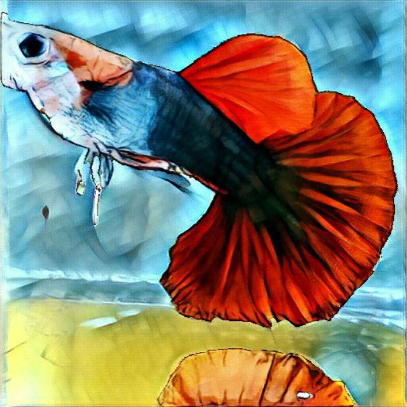 guppy silverado hb red halfmoon