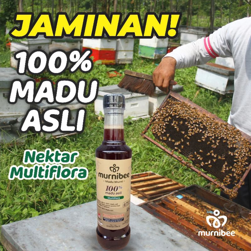 

Murnibee Madu Nektar Multiflora 100% Asli Murni dari Lebah 500 gram Alami Tanpa Campuran Raw Honey