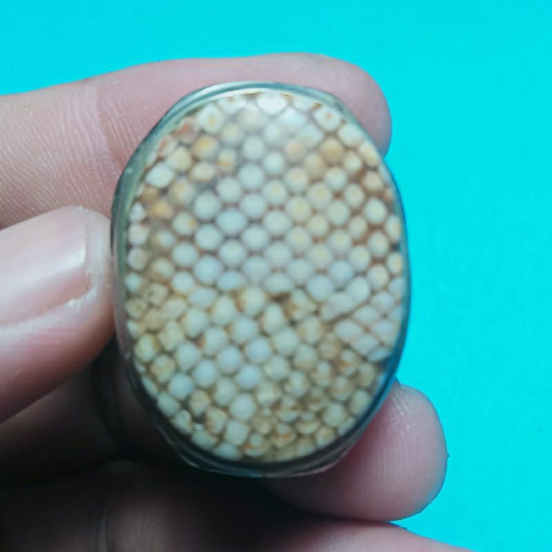 BATU AKIK MOTIF SISIK ULAR JHIPEN BANGKALAN MADURA