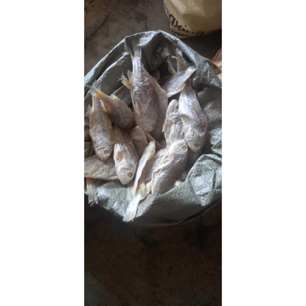 

ikan asin kepala batu utuh