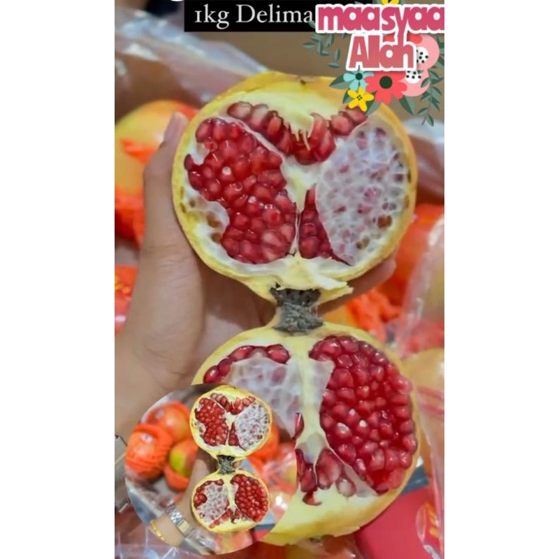 

buah delima