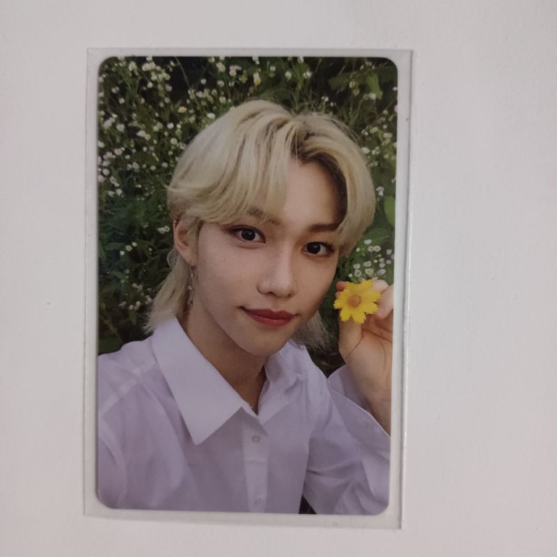 Photocard Felix POB NO Easy