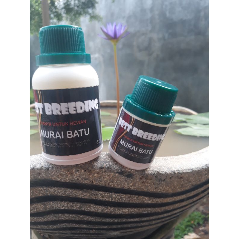 Best Breeding Murai Batu 40 ml
