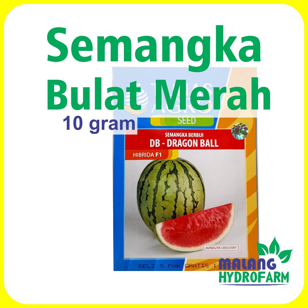 Benih Semangka Bulat Merah Dragon Ball 10 Gram Tunas Agro Bibit Biji Buah Bulet Bundar Segar