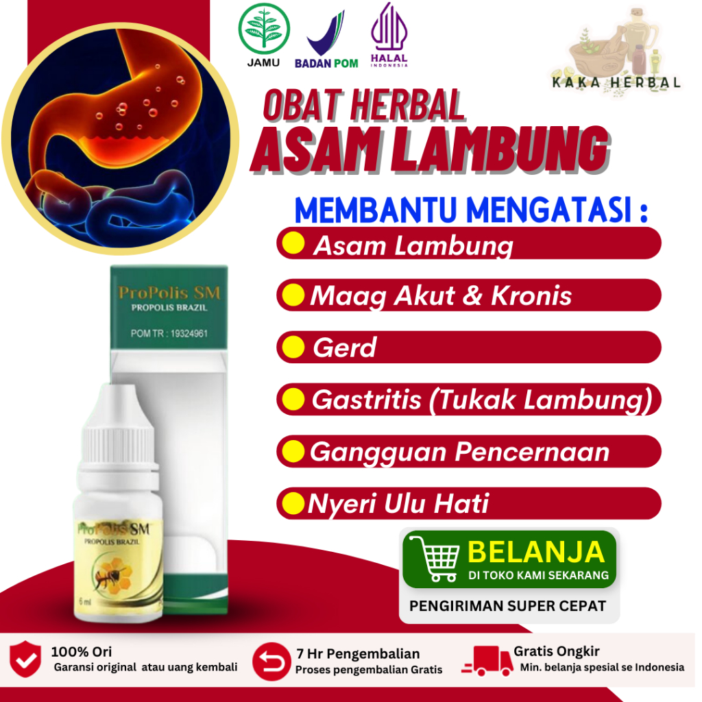 Obat Asam Lambung Herbal Asam Lambung Maag Gerd Herbal PROPOLIS SM BRAZIL