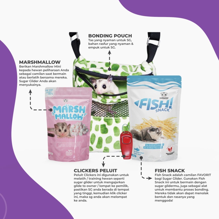 ADEWAP GLIDER Paket Bounding Sugar Glider Lengkap