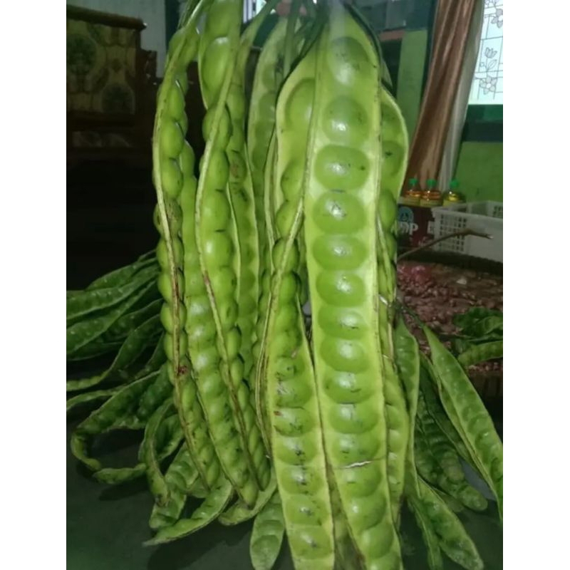 

petai per gandeng isi 20 keris