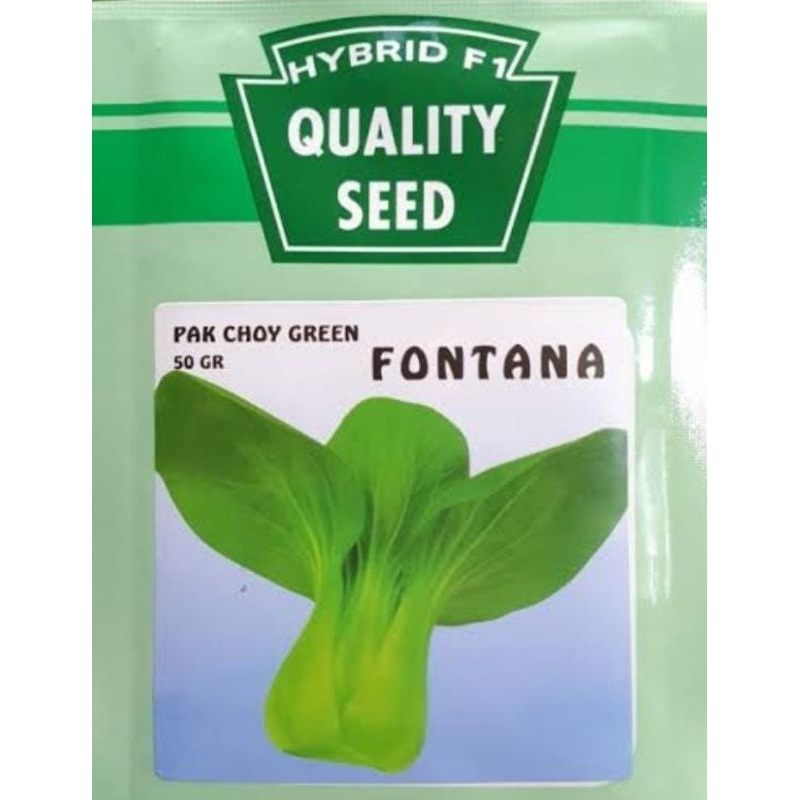 Benih Pakcoy Fontana