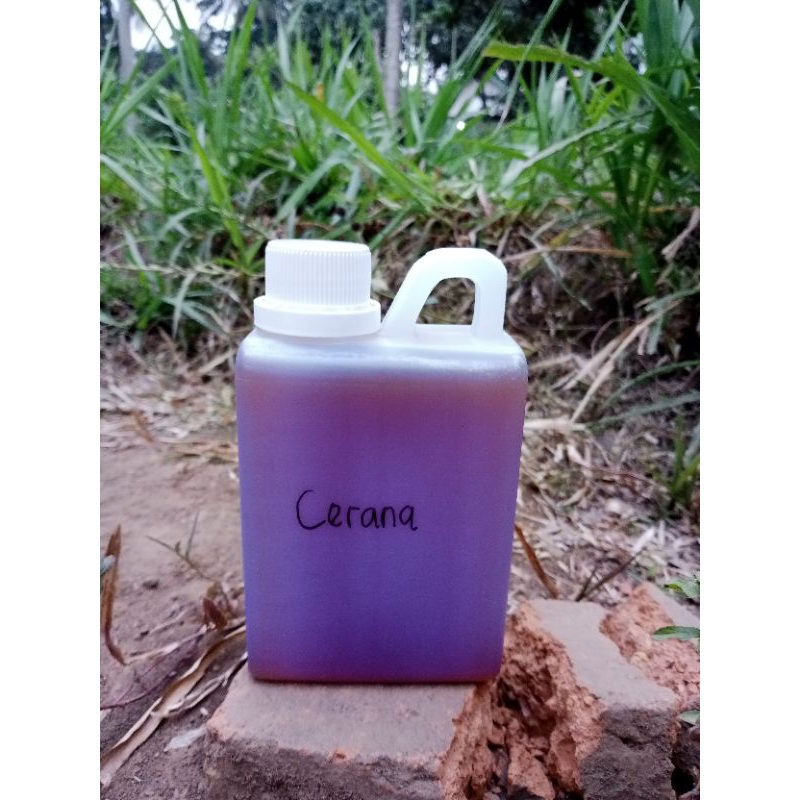 

madu hutan apis cerana kemasan 250ml dan 500ml